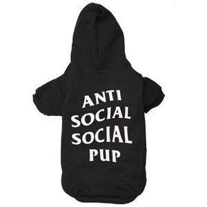 Anti Social Social Pup Hoodie